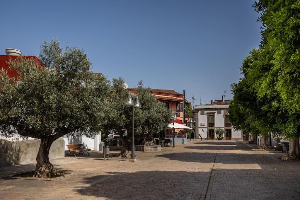 Apartamento En El Casco Historico De San Mateo Vega de San Mateo Luaran gambar